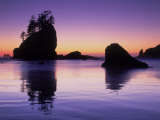 Buy Beach, Olympia National Park, WA at AllPosters.com