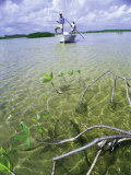 Buy Two People in Boat Casting to Fish at AllPosters.com
