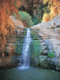 Shulamit Fall at En Gedi Reserve, Israel