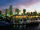 Night Skyline of Miami, Florida