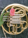 Buy French Horn with a Tulip at AllPosters.com
