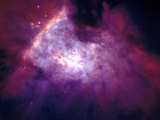 Orion Nebula