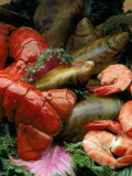 Buy Variety of Seafood at AllPosters.com