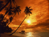 Sunset at Pigeon Point, Tobago, Caribbean