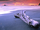 Buy Rialto Beach Sunset with Driftwood Log at AllPosters.com