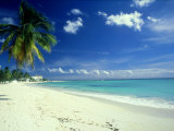 Beach Scene, Barbados