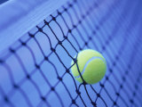 Buy Tennis Ball in Net at AllPosters.com