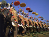 Buy The Great Elephant March, Trissur, Kerala, India at AllPosters.com