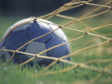 Soccer Ball in Net