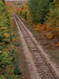 Buy Railroad Tracks Between Autumn Foliage, MI at AllPosters.com