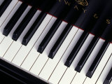 Piano Keyboard