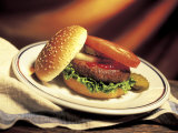 Buy Hamburger with Pickles, Onions and Tomato at AllPosters.com