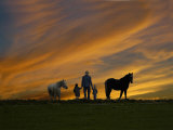 Ohio, Sugarcreek, Amish Family Viewing Sunset