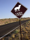 Buy Coyote Crossing Street Sign on Desert Road at AllPosters.com