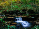 Buy Ricketts Glen State PArk, PA at AllPosters.com