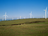 Buy Wind Turbines Generating Electricity, Cornwall at AllPosters.com