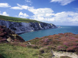 Buy Isle of Wight, Summer at AllPosters.com