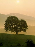 Buy Foggy Sunrise in Cades Cove, TN at AllPosters.com