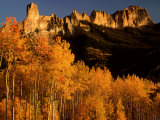 Buy Grove of Aspen Trees Below Chimney Rock, Colorado at AllPosters.com