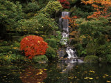 Japanese Garden in Portland Oregon