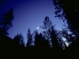 Buy Moon with Trees, Sierra Nevada, USA at AllPosters.com
