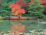 Japanese Tea Garden, WA
