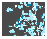 Buy Black And Blue Blossom at AllPosters.com