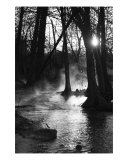 Buy Sunrise on the River - Fog and Light 2 at AllPosters.com