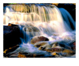 Buy Glacier National Park at AllPosters.com