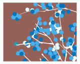 Buy Blue Chocolate Blossom at AllPosters.com