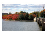 Buy Fall Foliage Around Tida Basin Washington Dc No-6 at AllPosters.com