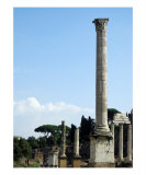 Buy Foro Romano - Roman Forum - Rome at AllPosters.com