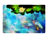 Buy Evening Reflections at AllPosters.com