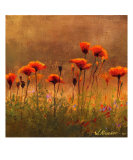 Buy California Poppies 3 at AllPosters.com