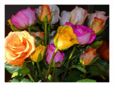 Buy A Palette Of Roses at AllPosters.com