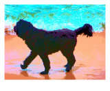 Buy A Colorful Walk On The Beach at AllPosters.com