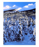 Buy Kenai Mountains at AllPosters.com