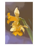 Buy A Contemporary Pair at AllPosters.com