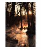 Buy Sunrise on the River - Fog and Light 1 at AllPosters.com