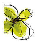Buy Green Petals at AllPosters.com