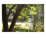 Buy A Peaceful Scene at AllPosters.com
