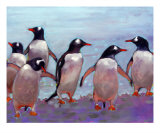 Gentoo Penguins - Antarctica