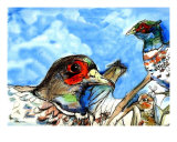 The Pheasants