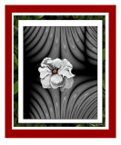 Buy Formal Love at AllPosters.com
