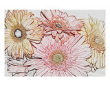 Buy Gerber Daisies at AllPosters.com