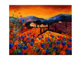 Buy Tuscan Poppies at AllPosters.com