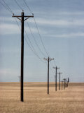 Buy A Line of Telephone Poles Traveling over Golden Grassland at AllPosters.com
