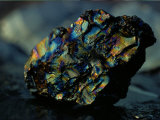 Buy Close View of a Large Chunk of Peacock Coal at AllPosters.com
