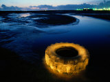 A Discarded Tire Glowing Like Neon in the Marsh