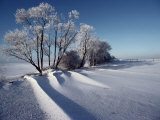 Buy Winter Landscape Near Odense, the Birthplace of Hans Christian Andersen at AllPosters.com